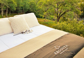 Ergovea Organic Latex